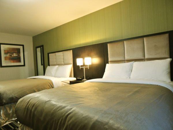 Western Star Inn & Suites Stoughton Rom bilde